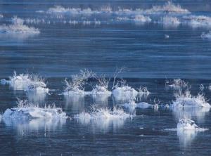 Ledeni_Okraski_Branko Česnik